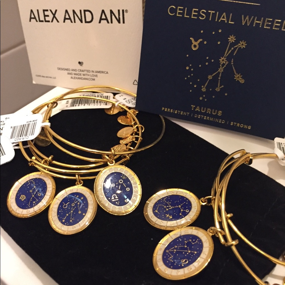 Alex and Ani Celestial Wheels